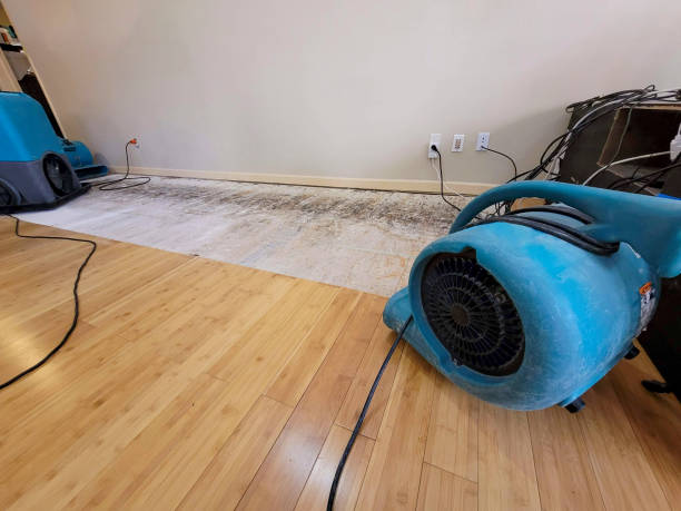 Professional Flood Damage Cleanup technician working in Garner, IA